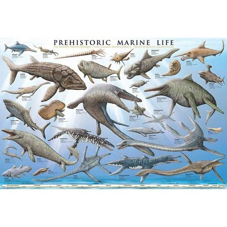 prehistoric sea life charts.